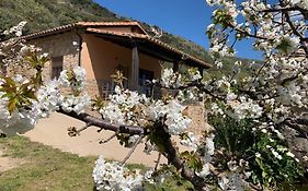 Casa Rural Canchal Madroñeras ***